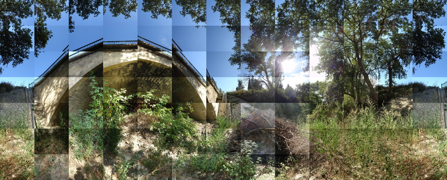 20060812_grillon_f_120x90_crop_424x318_offset_3_recopie_1.jpg