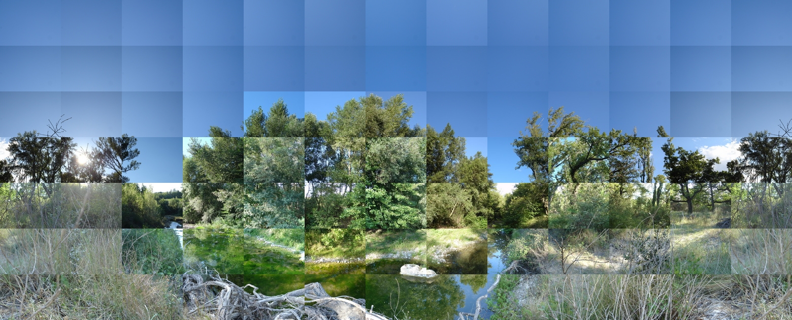 20060812_grillon_i_120x90_crop_424x318_offset_7_recopie_1.jpg