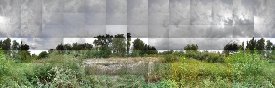 20060813_grillon_b_185x110_crop_99x218_offset_0_recopie_1.jpg