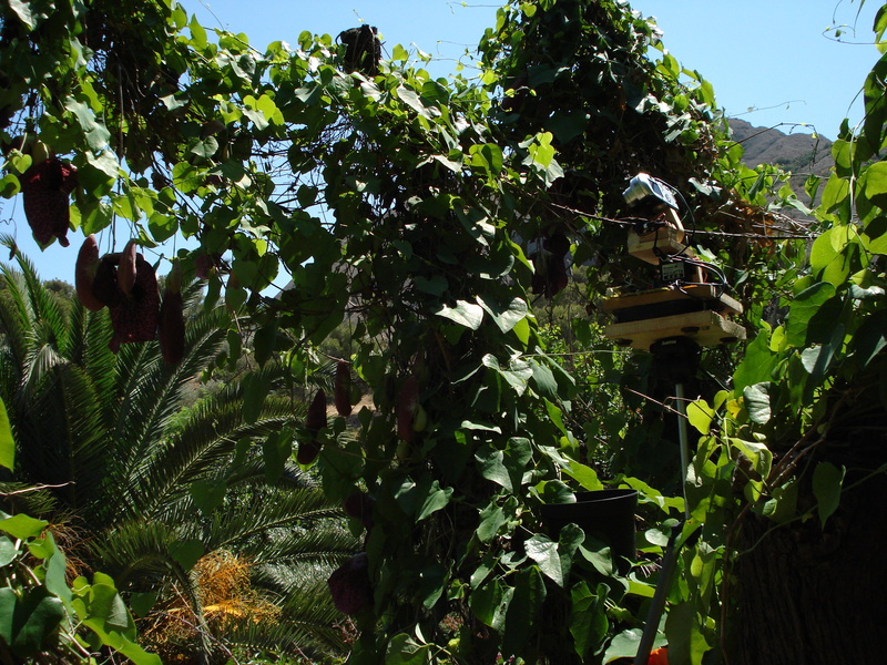 DSC08272.JPG